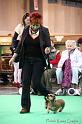 Crufts2011_2 1483